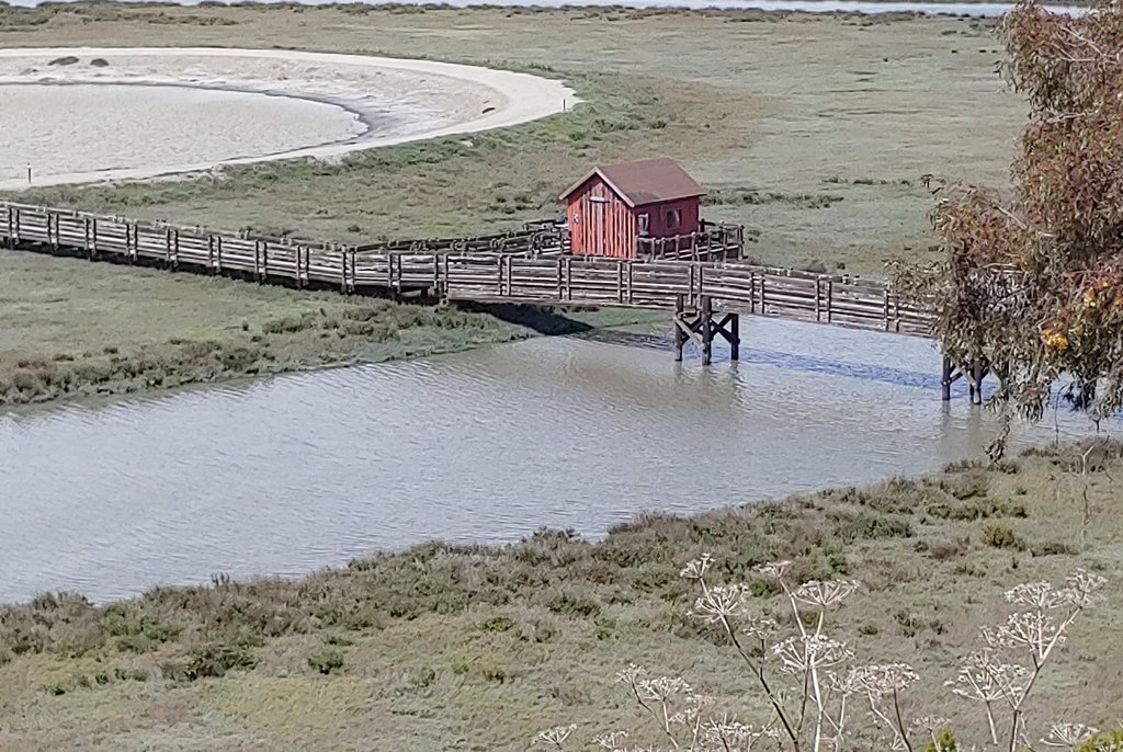 don edwards reserve